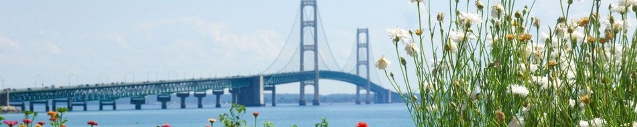 Cover for Karen Sue Schmidt's Obituary