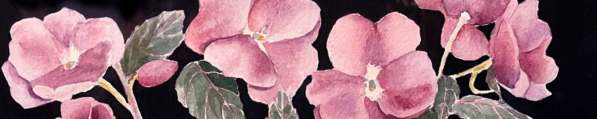 Cover photo for Emma Lou Nipps's Obituary