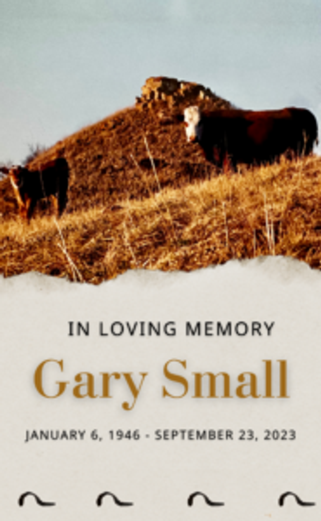 Gary Small Profile Photo