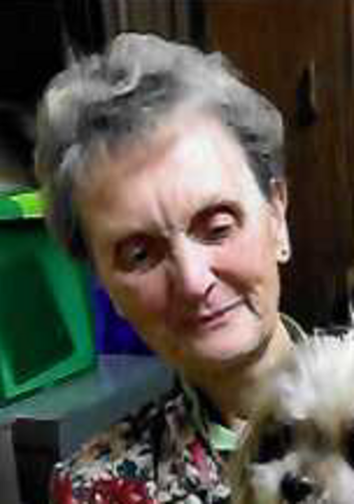 Betsy-Ann Lingenfelter Profile Photo