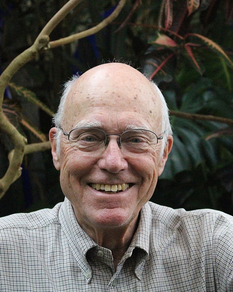 Roland Anton Nesslinger