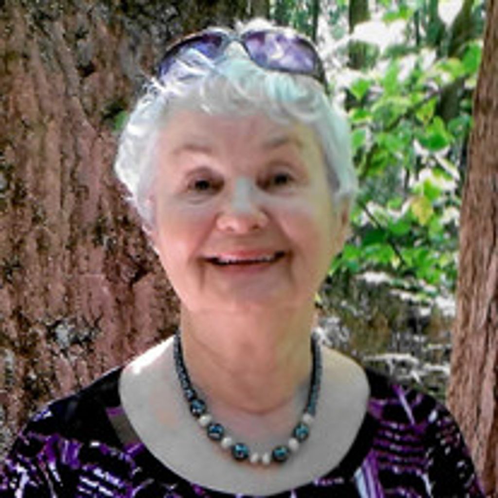 Alisa Shevkind Profile Photo