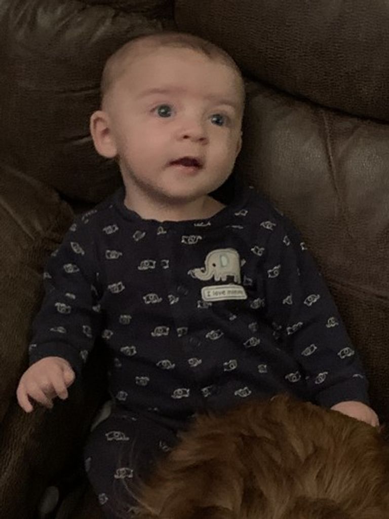 Bentley Mark Harkins