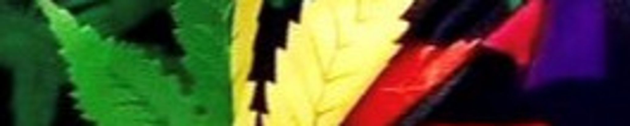 Cover photo for Emmanuel Masumbuko's Obituary