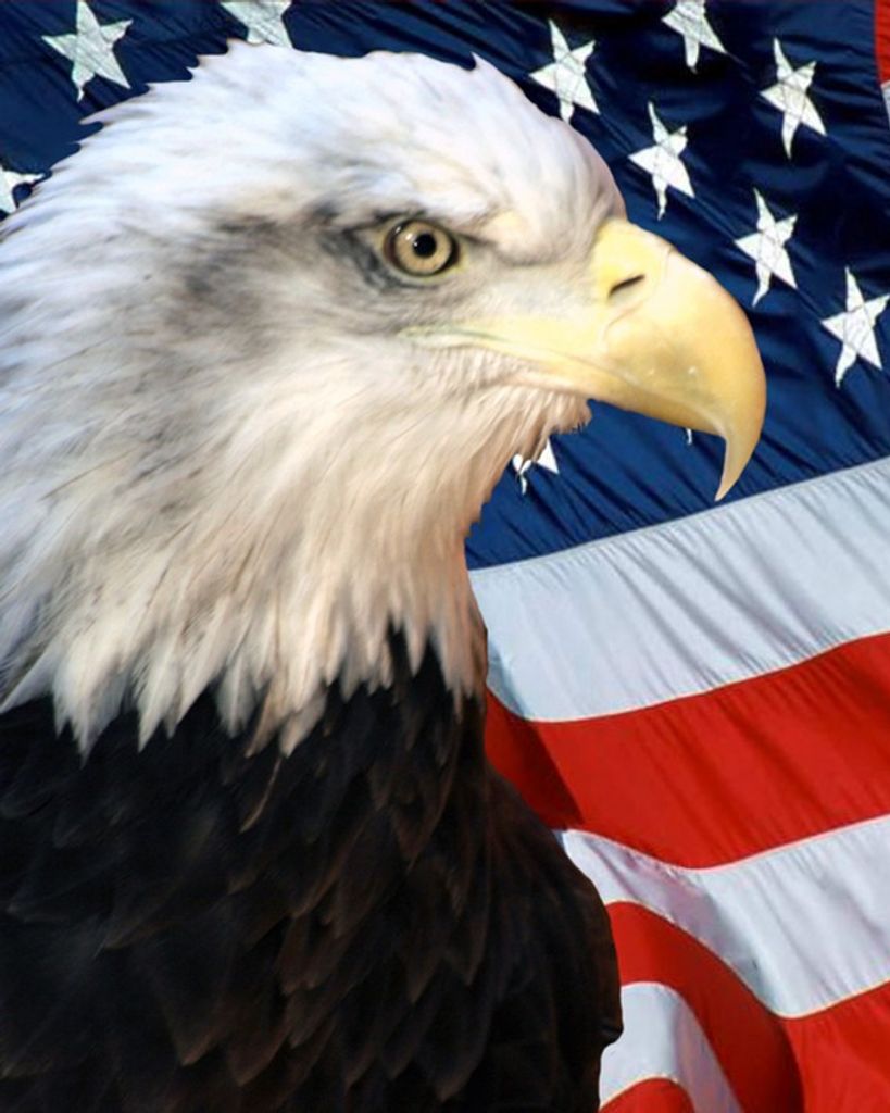 Lawrence Triebwasser Profile Photo