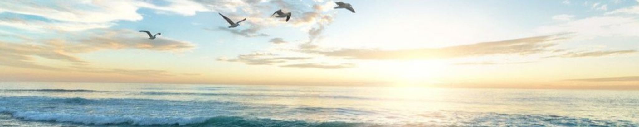 Cover photo for Mia Courtney Brewer's Obituary
