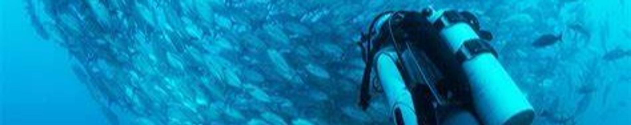 Cover photo for Rick Sutton's Obituary