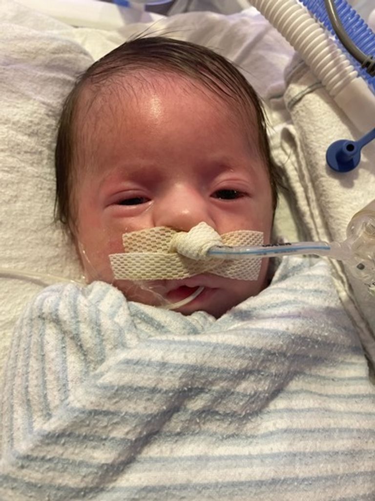 Luca Stephen Francescutti