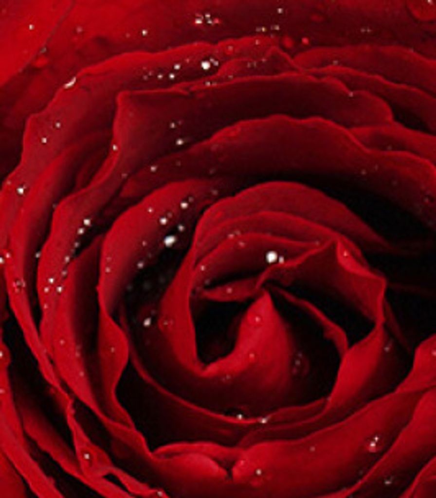 Hiloreen  Woods-Hyatt Profile Photo