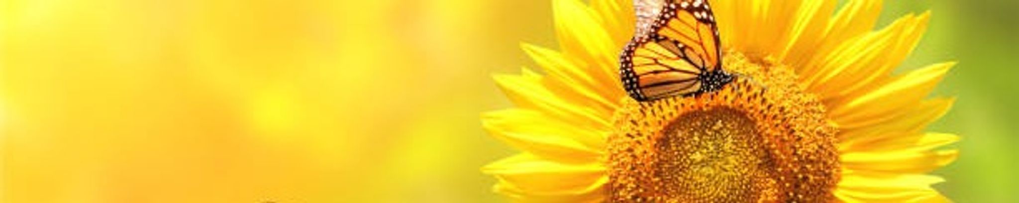 Cover photo for Norma Anna Barela's Obituary