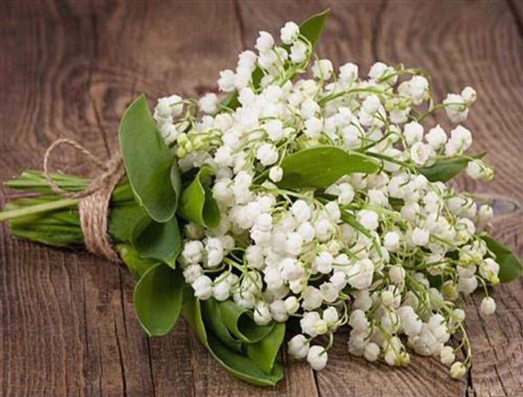 Theresa Dawn Bigl Profile Photo