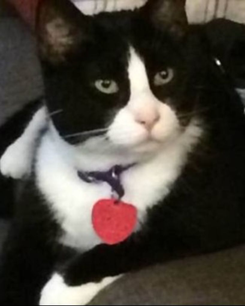Mittens O'Brien