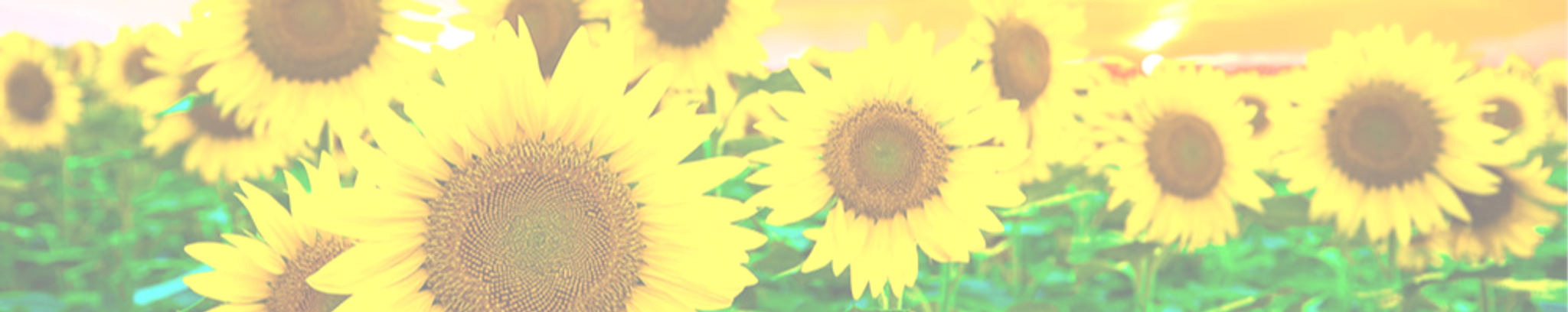 Cover for Janet D. Chesney's Obituary