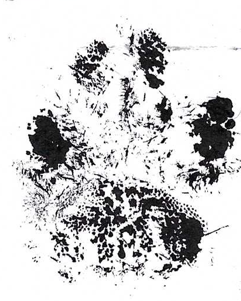 Coffee Ramirez Profile Photo