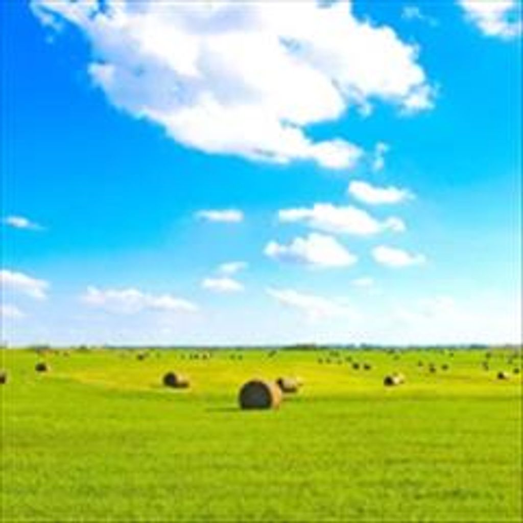 William "Bill" Ramsey