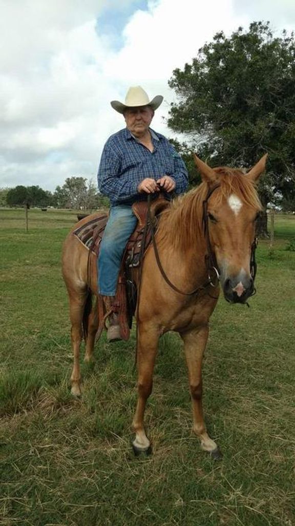 Bobby Joe Redding Profile Photo