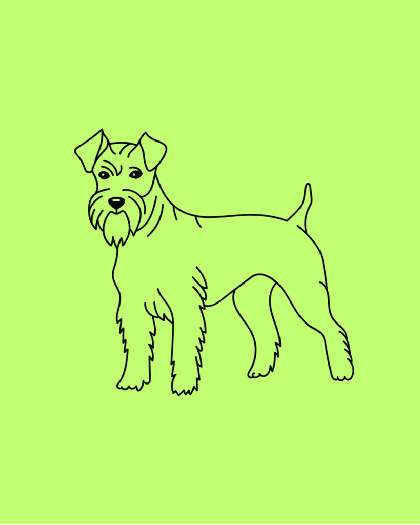 Cooper Albertson Profile Photo