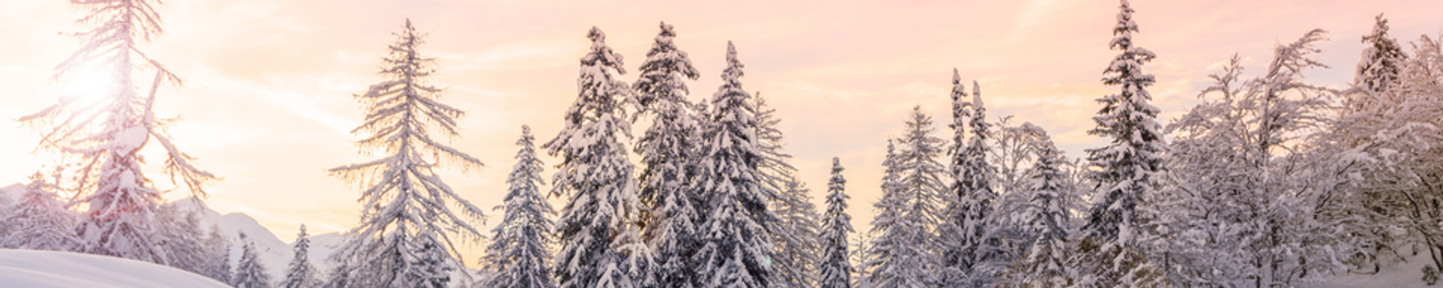 Cover for Brett Simpson McCall's Obituary