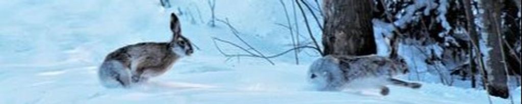 Cover photo for James E. Tennis's Obituary