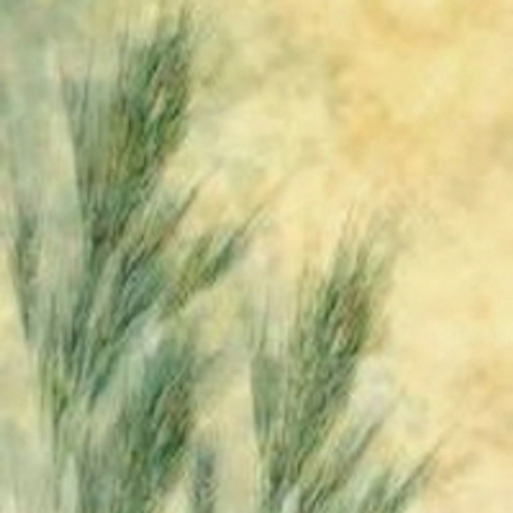 Ruthe Mcgraw