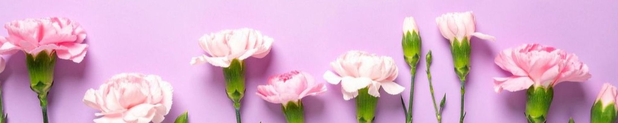 Cover photo for Thelma Louise Summers's Obituary