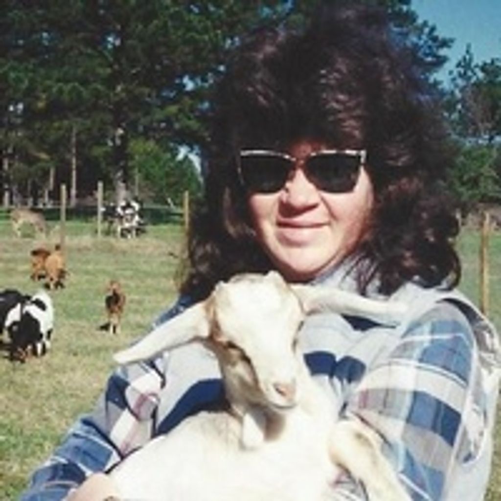 Teresa Diane Hollis