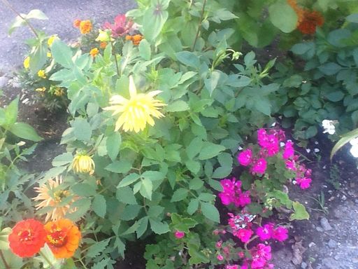 Sandra L. Stowers photo gallery thumbnail 39 of 100