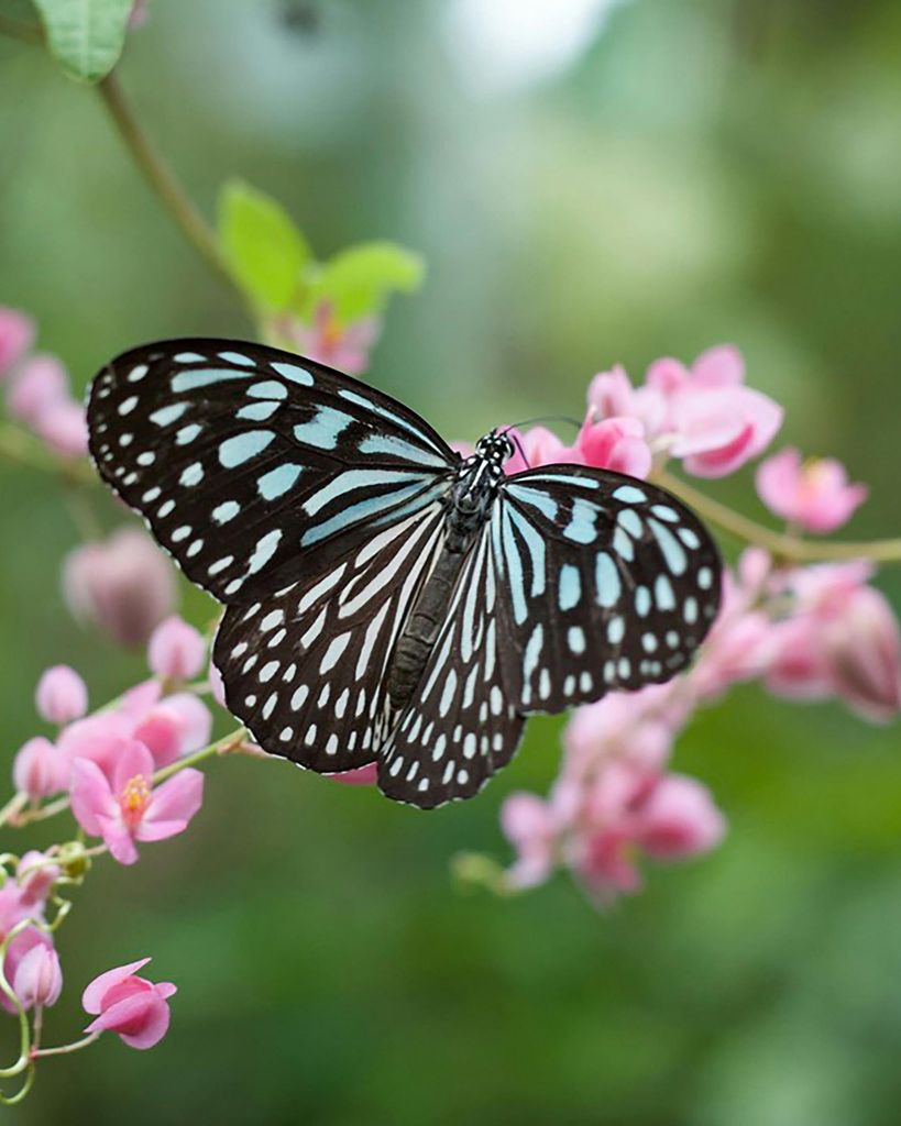 Sue Ann Sych Profile Photo