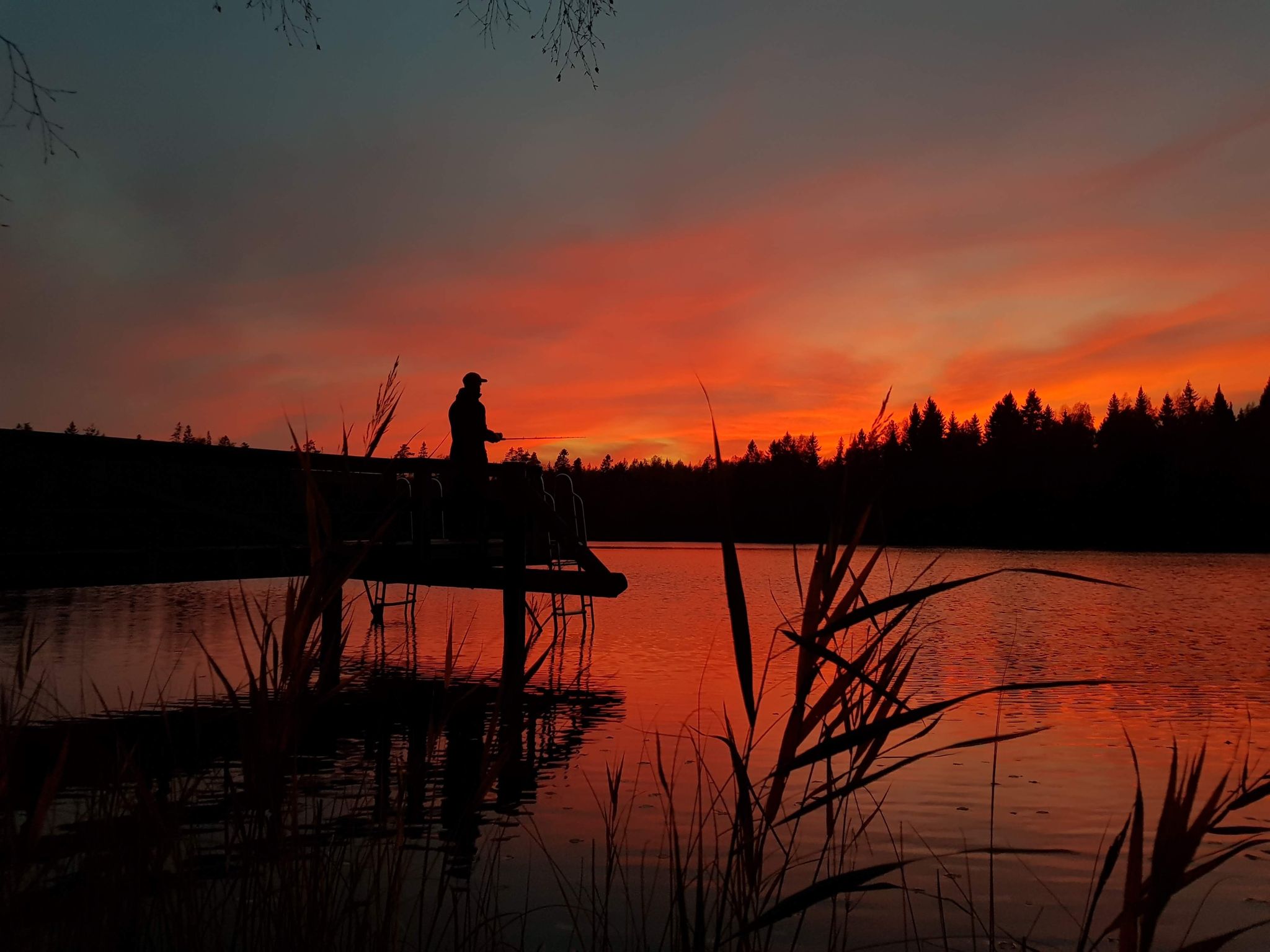 Cover for Gregory Bartlett Olney's Obituary