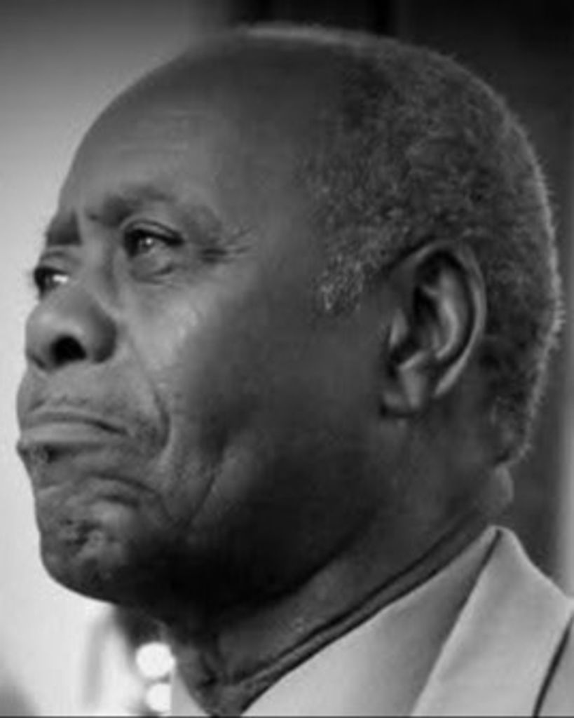 HORACE SHELBY JR