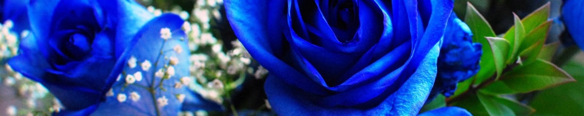 Cover for Nona Kay Winter's Obituary