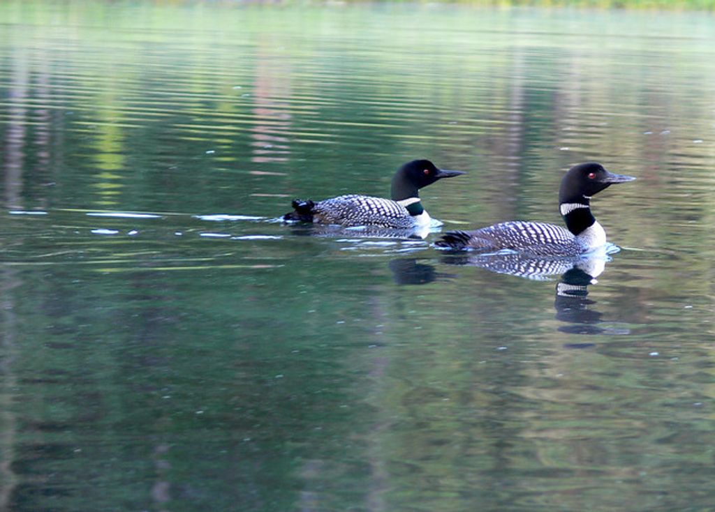 Winnifred Joan Hamilton Profile Photo