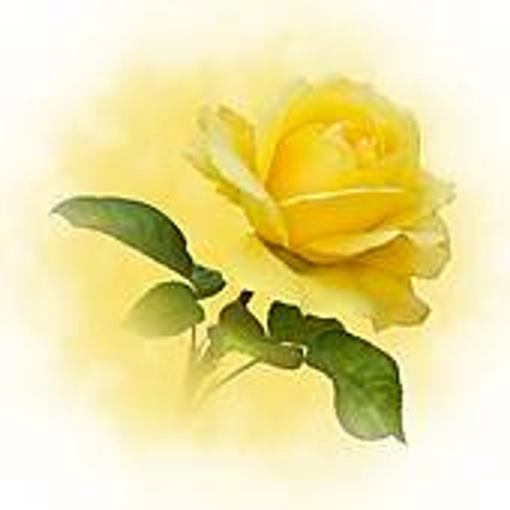 Debra M. Bunner Profile Photo