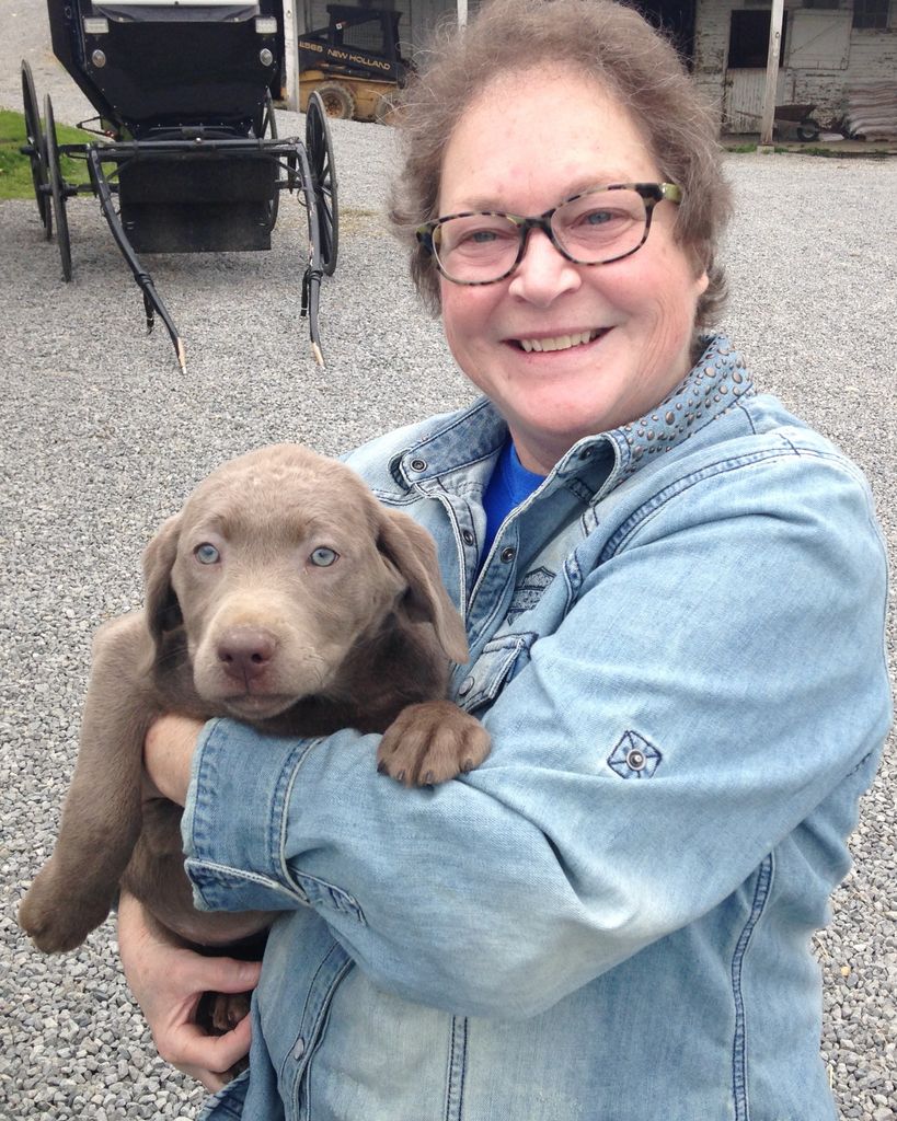 Ann K. Barnhorst Taylor Profile Photo