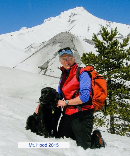 Lynn Lippert Profile Photo