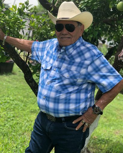 Alfonso 