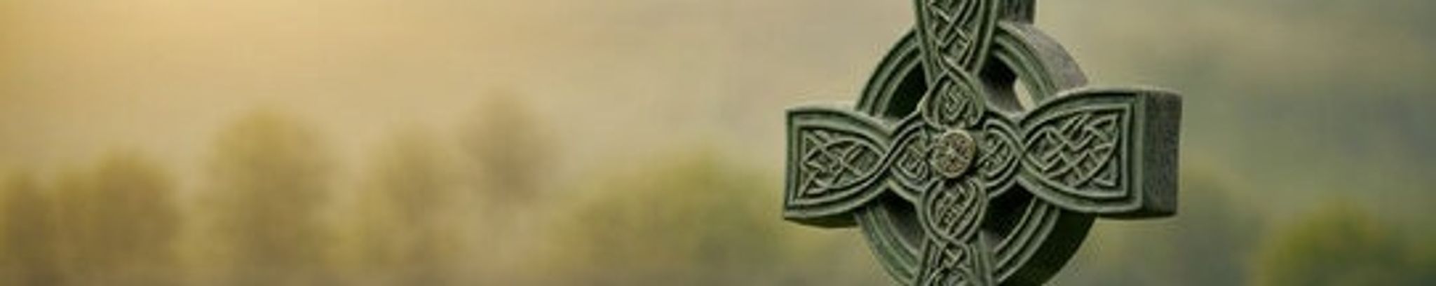 Cover photo for Thomas Francis McGuire's Obituary