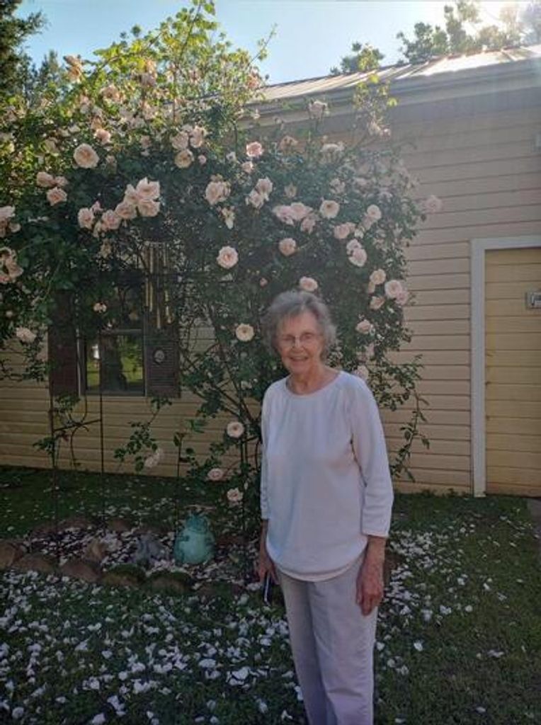 Vera Gillian Profile Photo