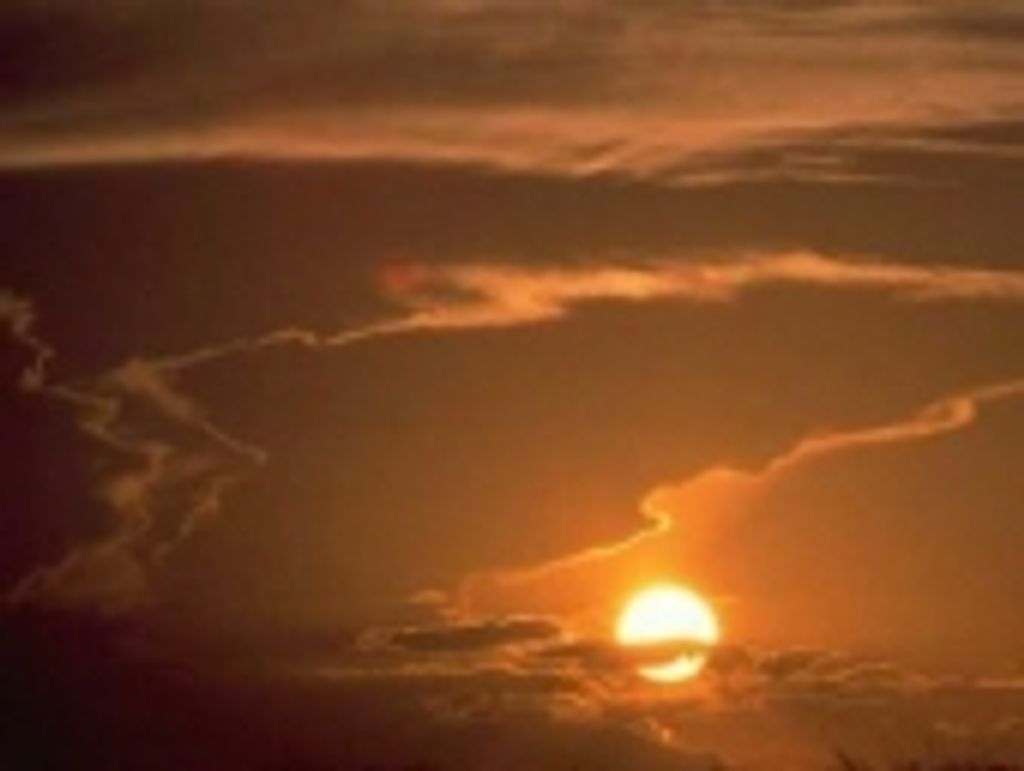 Toni "Chickie" J. Ransdell