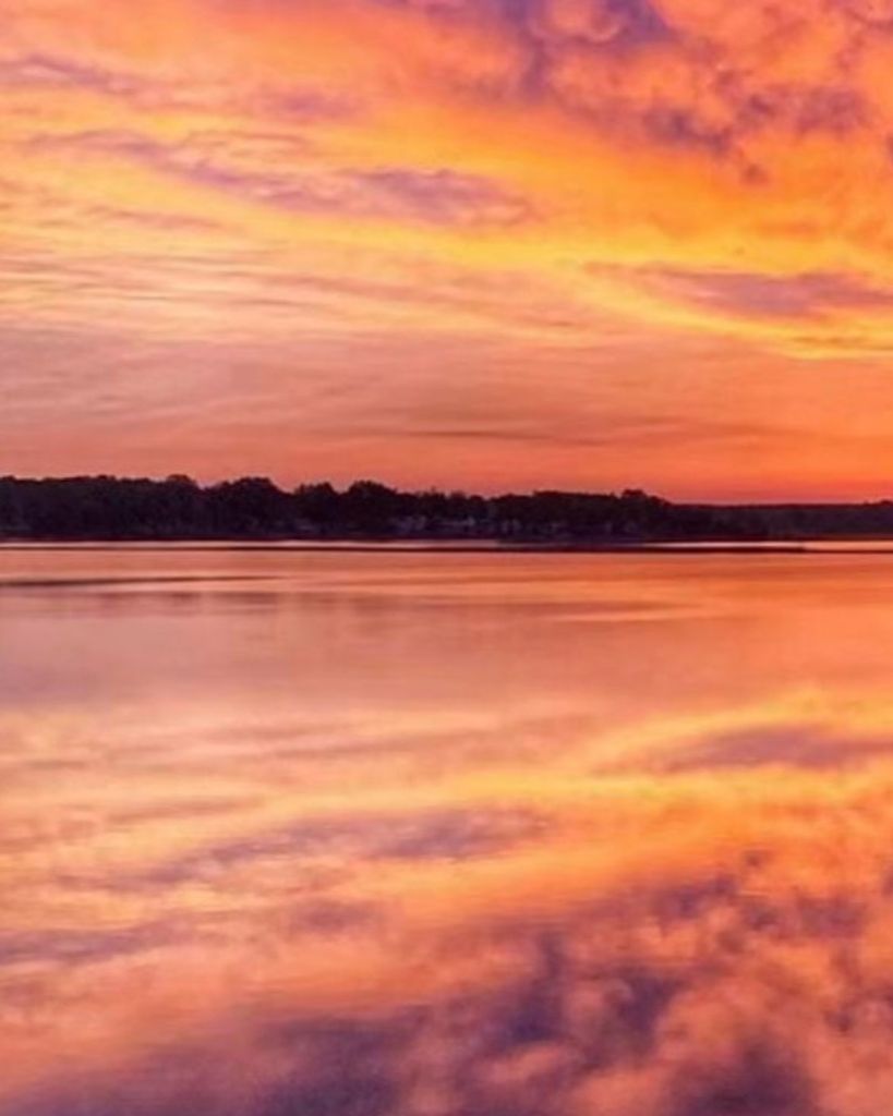 Frances S. Mimi Riddle Profile Photo