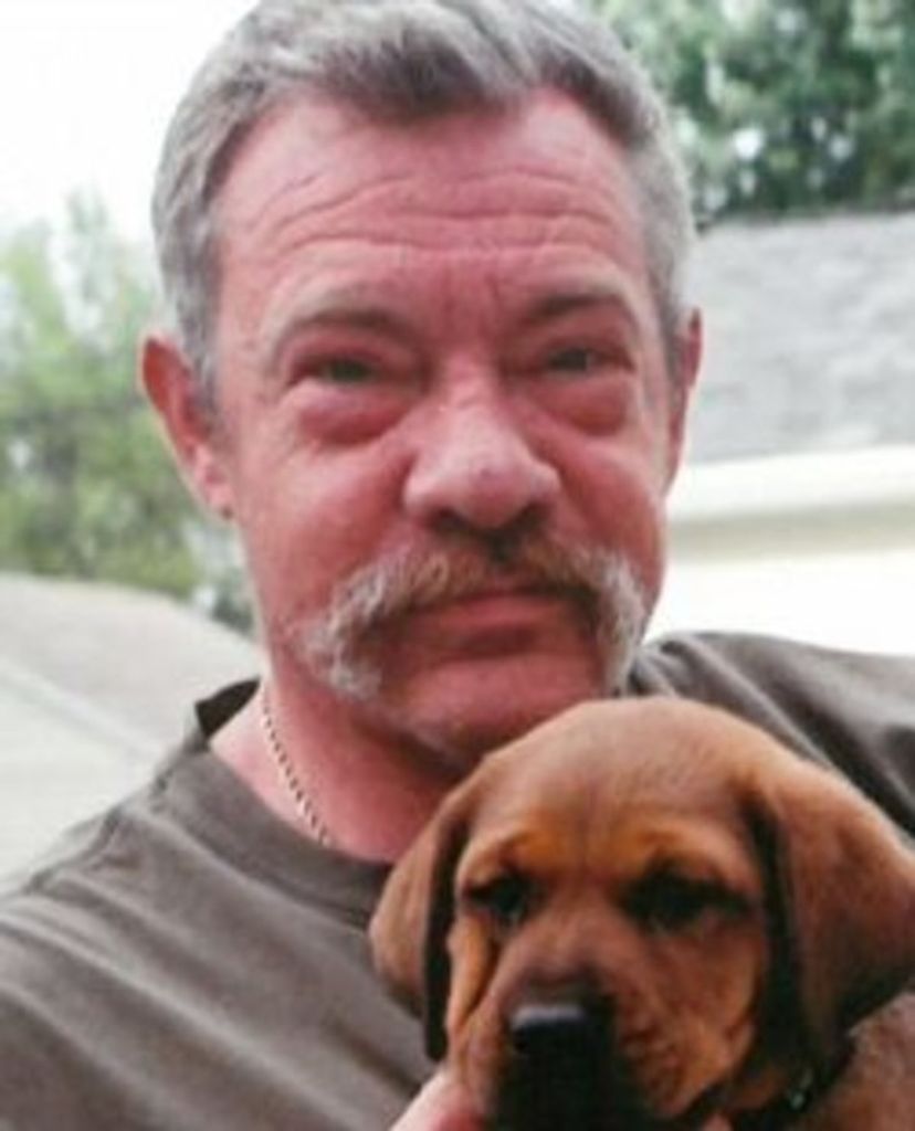 Brion J. Traill