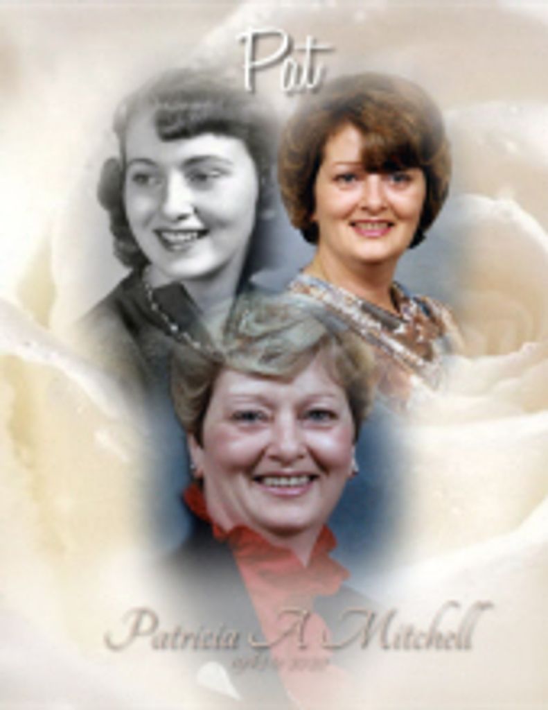 Patricia A Mitchell
