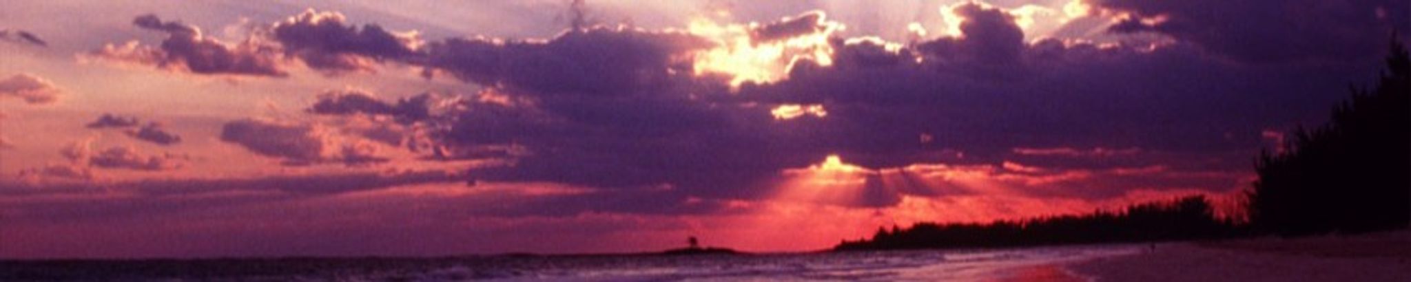 Cover photo for Irma Rae Coyne's Obituary