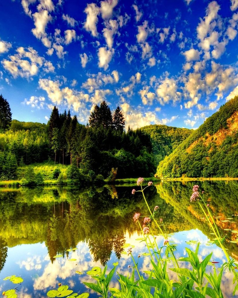 Jefferey M. Marcus Profile Photo