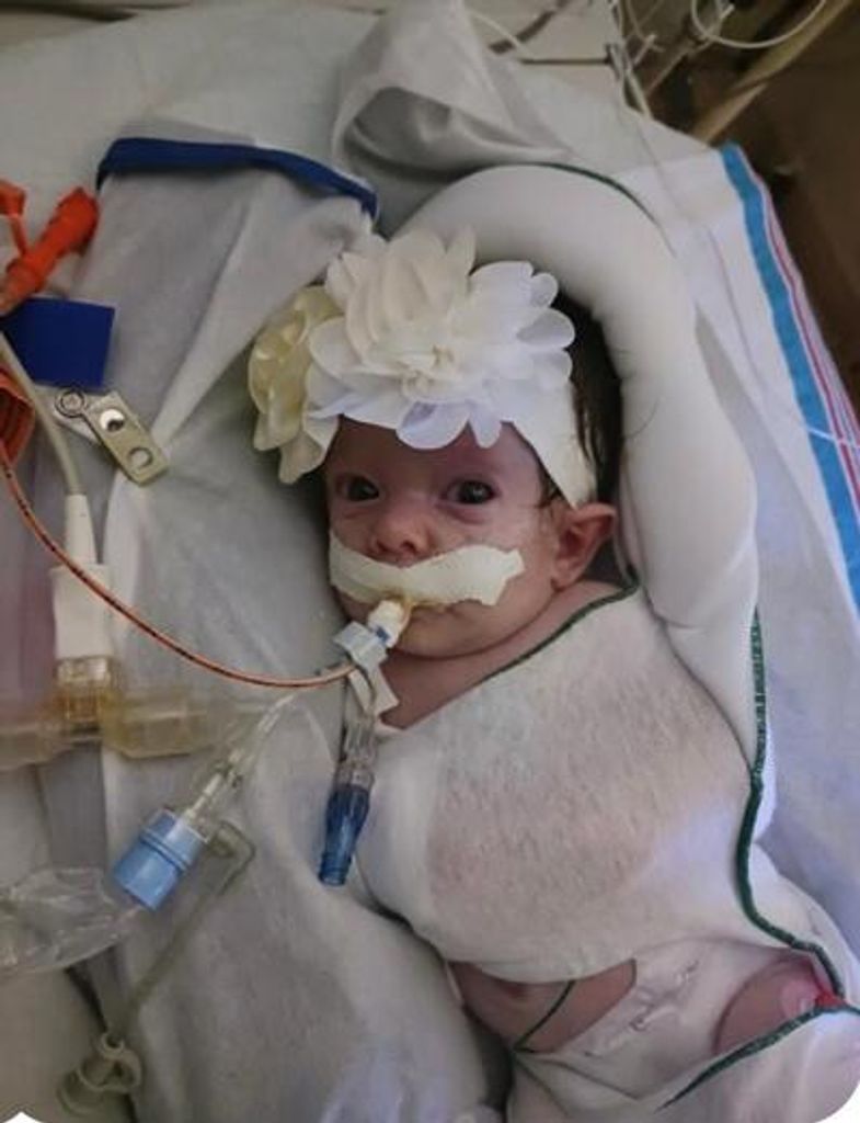 Violet Aleyna Grace Martin Profile Photo