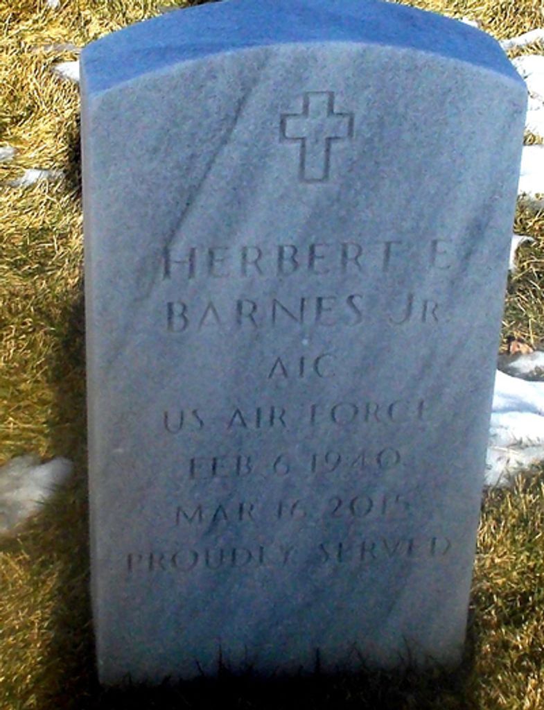 Herbert Edward Barnes, Jr.