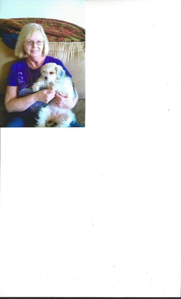 Patsy Ann Weddle Profile Photo
