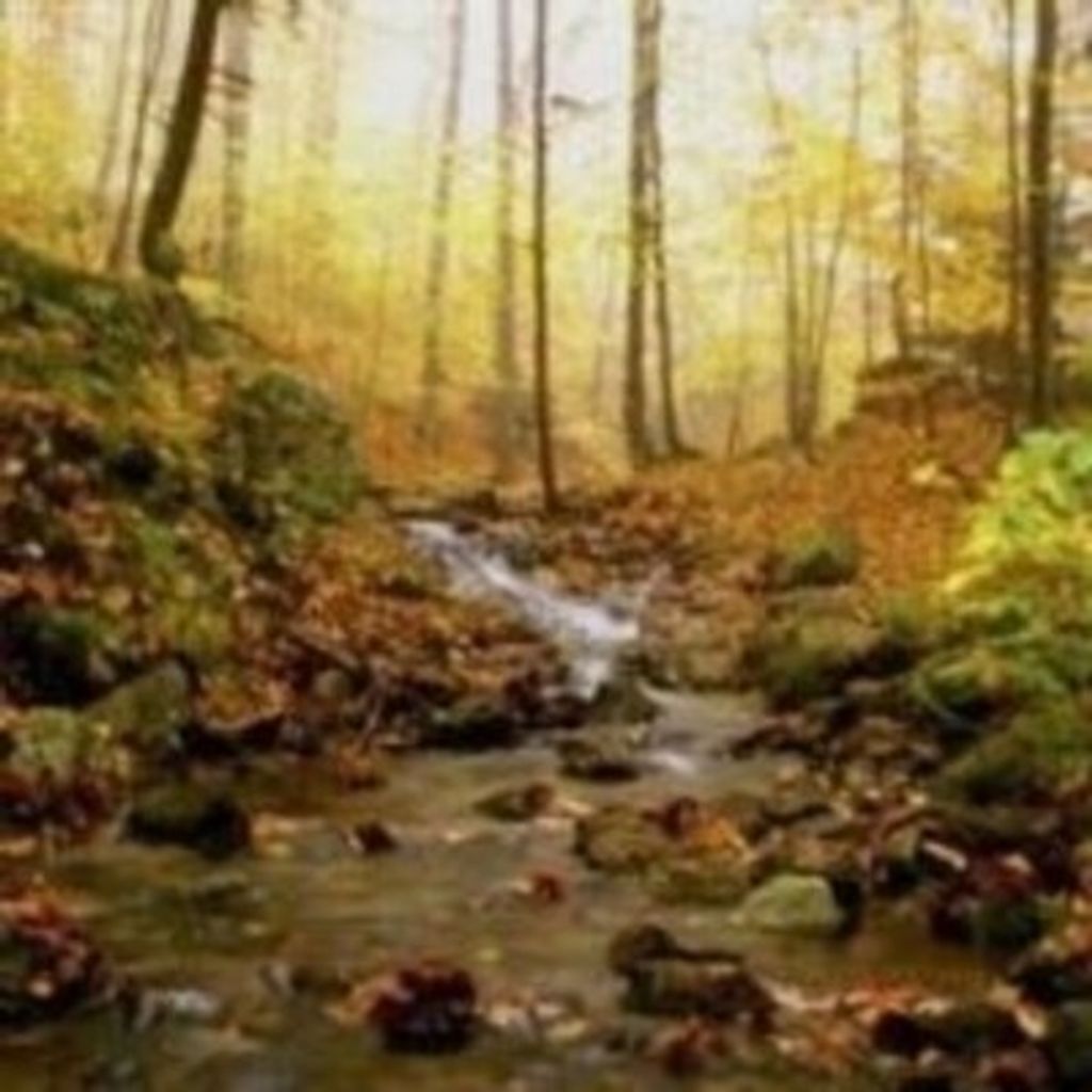 Richard "Dick" Brumagin