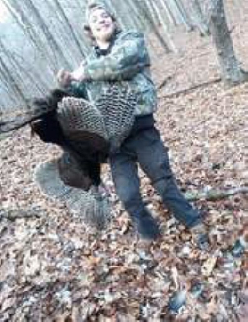 Daniel Lane Mccall Profile Photo