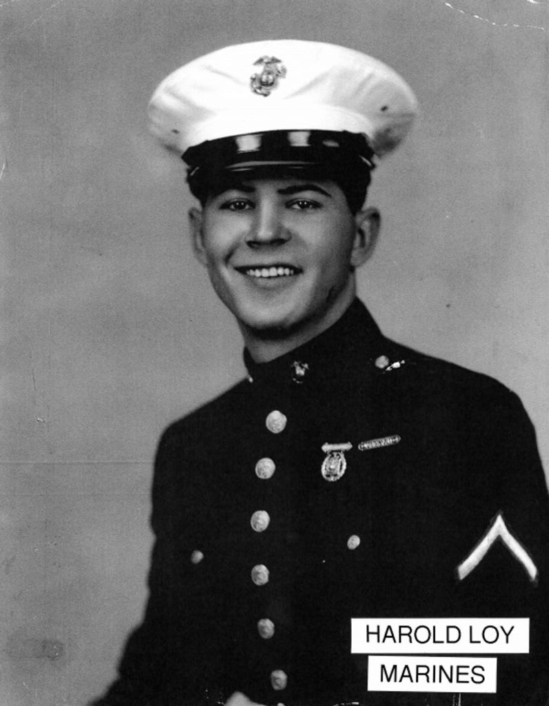 Harold Loy